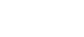 Logo NIU