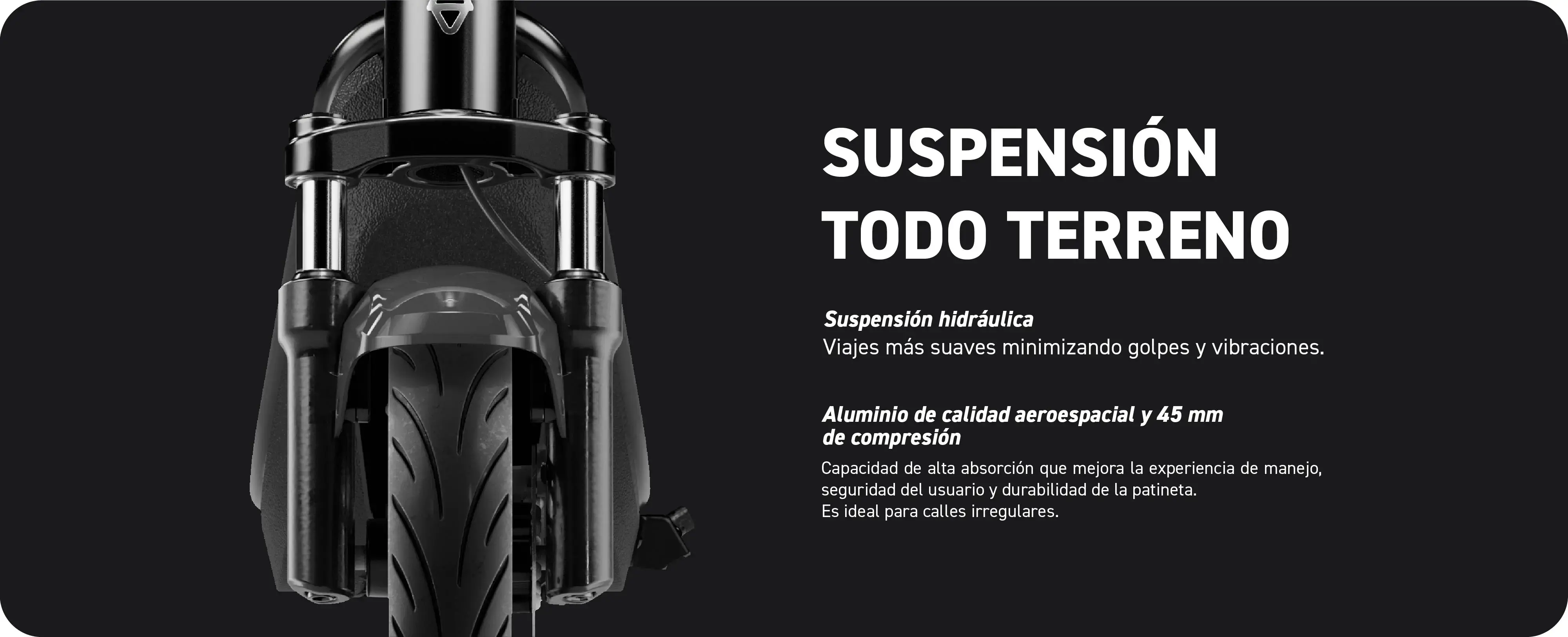 Suspensión